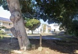 公園・運動施設