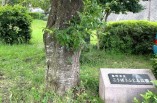公園・運動施設