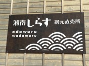 小田原・和田丸　湘南しらす　網元直売所