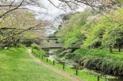 ふれあいの森