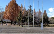 横山公園