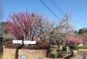 綾南公園