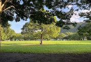 相模川自然の村公園