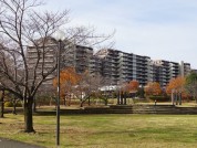 若葉台公園