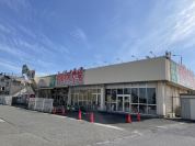 大山の里 わくわく広場伊勢原店