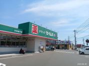 ドラッグセイムス大井金子店