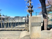 茅ヶ崎市立松林小学校