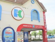かねだい 伊勢原店