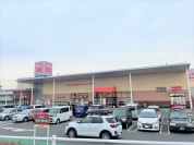 ベルク 伊勢原白根店