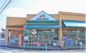マルエツ 愛甲石田店