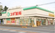 スギドラッグ 厚木恩名店