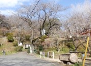 市民の森ふじやま公園