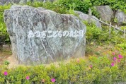 あつぎこどもの森公園