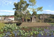 東の池