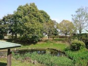 金目親水公園