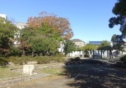 達上ヶ丘公園