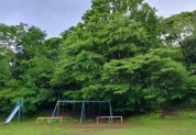 高麗山公園 子供の森