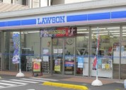 ローソン 厚木岡田店