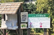 氷室椿庭園