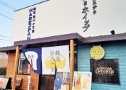 HARE/PAN 平塚店