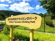 はだの丹沢クライミングパーク