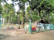 引地台公園