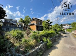 秦野市菖蒲