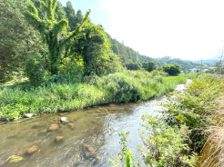 小田原市久野