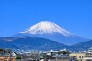 住戸からの眺望写真