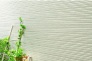 外壁に付着した汚れを雨水で繰り返し落とせる「セルフクリーニング機能」のマイクロガードの外壁を採用しています。メーカーの実証実験では12年後の建物でも、汚れやすいサッシ下の雨筋汚れもなくキレイな状態でした。新築時のキレイが長続きする外壁材を採用しています。