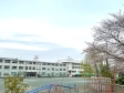 　【撮影日】2022/03/28