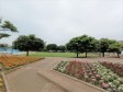 　【撮影日】2022/06/23