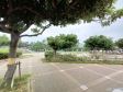 　【撮影日】2022/06/23
