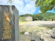 　【撮影日】2022/07/25