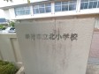 　【撮影日】2022/07/25
