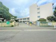 　【撮影日】2022/07/25