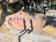 　【撮影日】2022/12/20