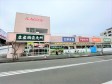 　【撮影日】2023/01/23