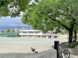 　【撮影日】2022/07/25