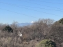 バルコニーから見える眺望です。
東海側方面の眺望
天気がいい日には、富士山も見えます。