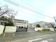 【撮影日】2022/03/28