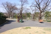 緑ヶ丘さくら公園